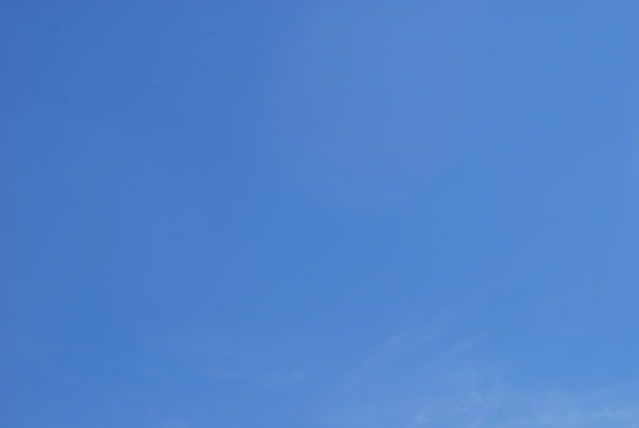 DSC_0347.jpg
