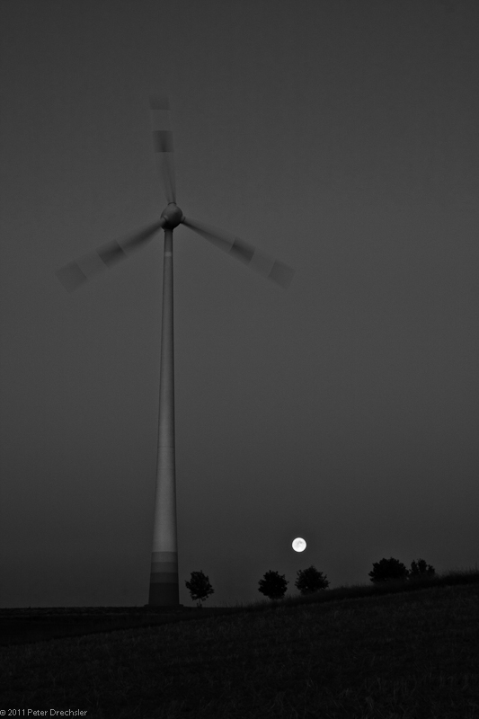 abens-4.jpg