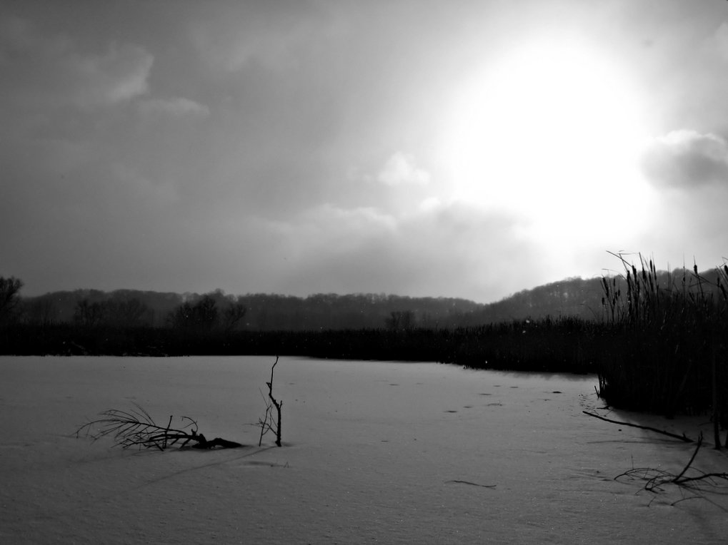 3088585014_5129c73a69_o.jpg
