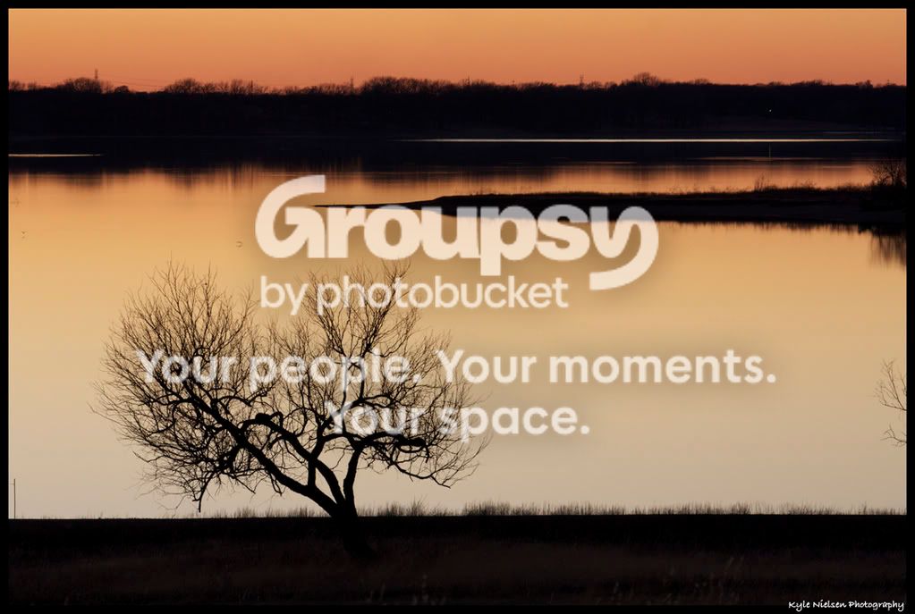treelit11109.jpg