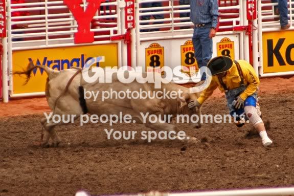 Stampede13.jpg