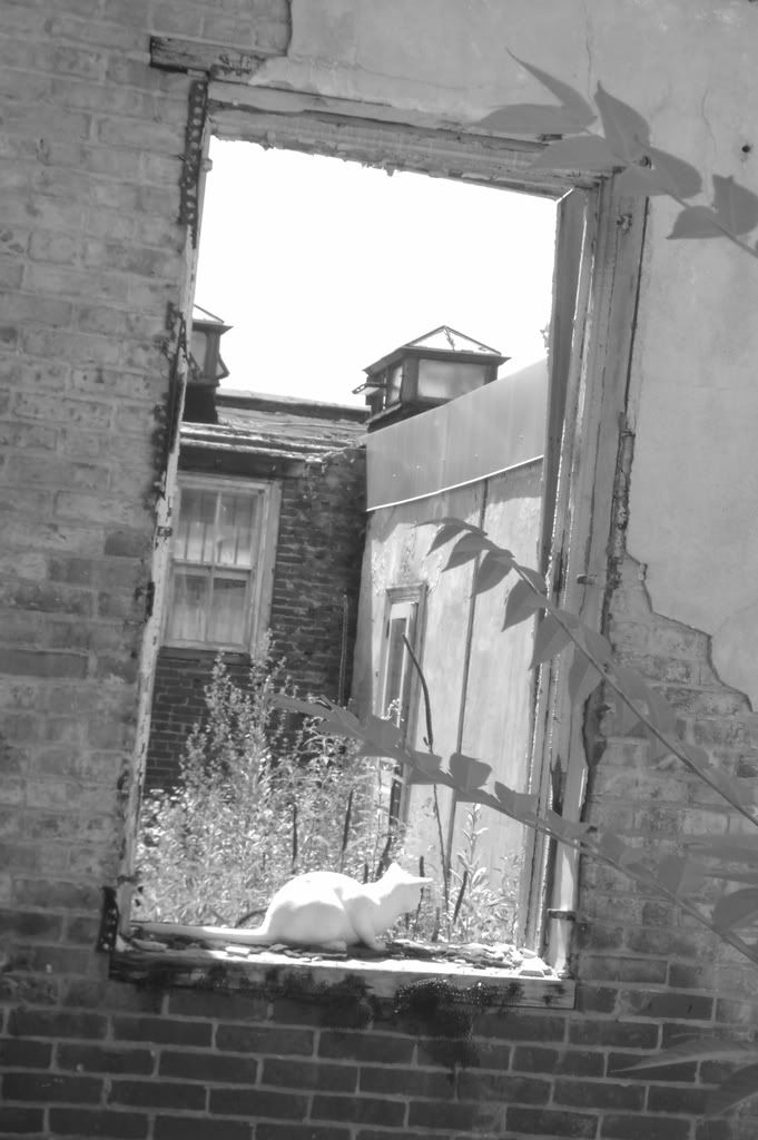 ImportedPhotos00339.jpg