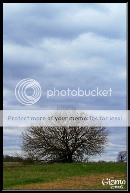 0f7b2dde.jpg