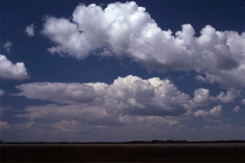 img343-1.jpg