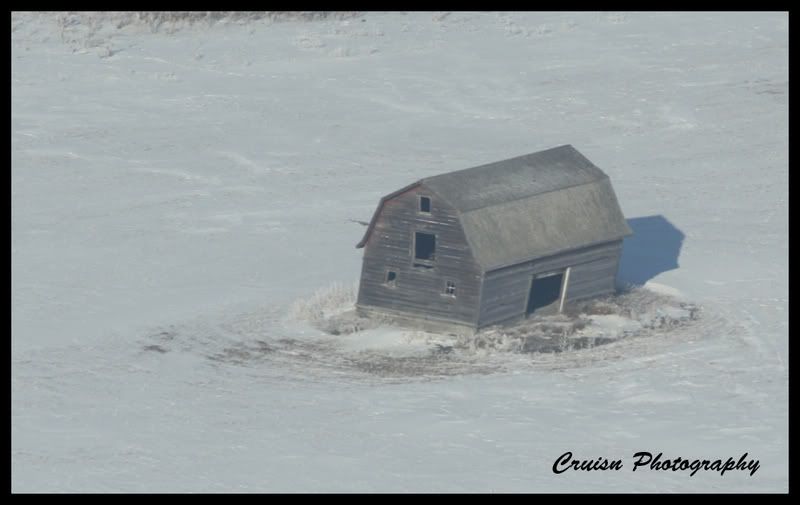 barn.jpg