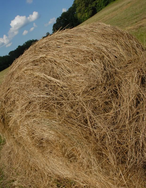 haystack.jpg