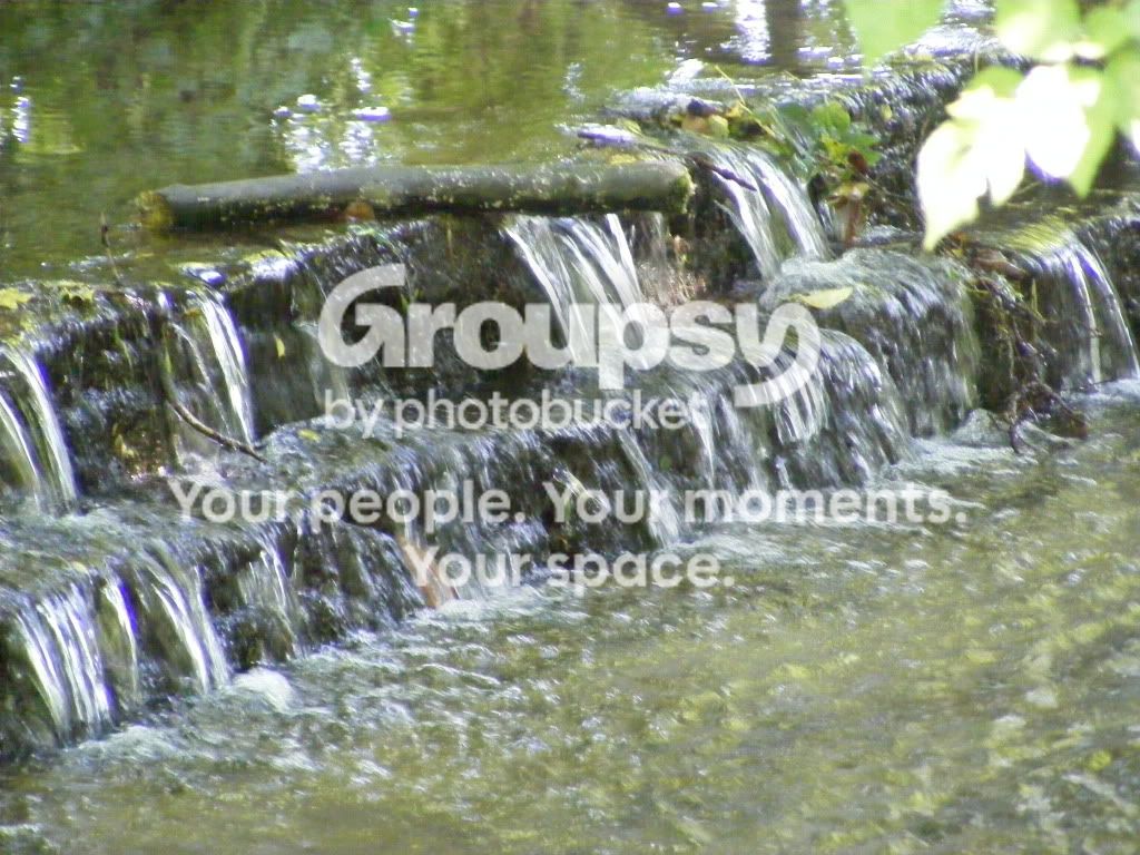 DSCF2393.jpg