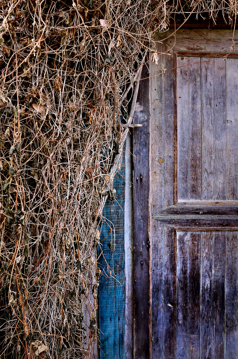 GRAS4714-X3.jpg