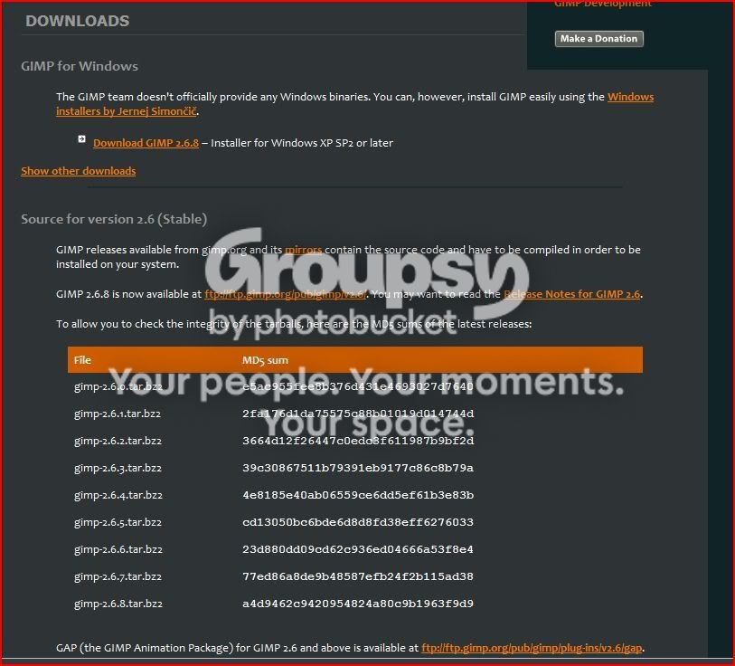 gimp.jpg