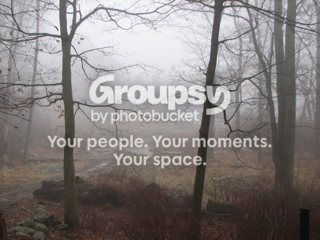 IMG_6804.jpg