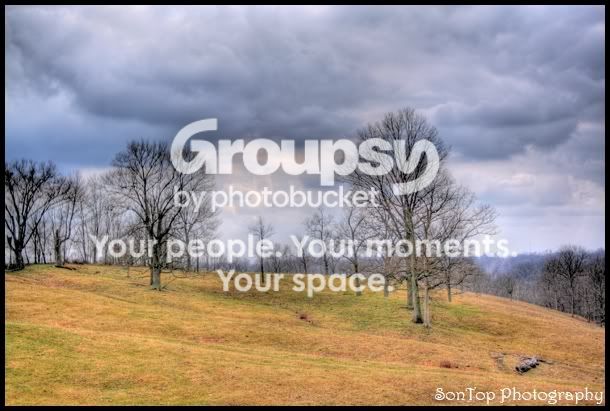 cdcf2.jpg