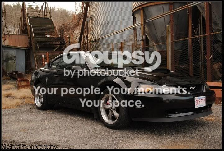 Stang2.jpg