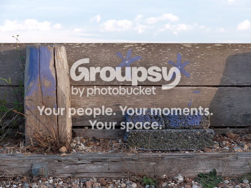 untitled36of58.jpg