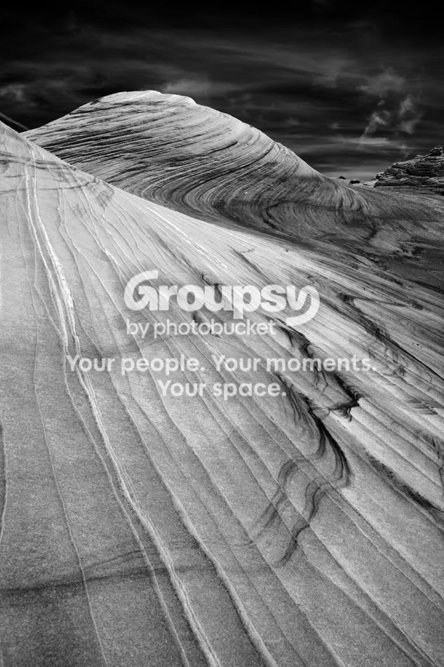 IMG_3111smallbw.jpg