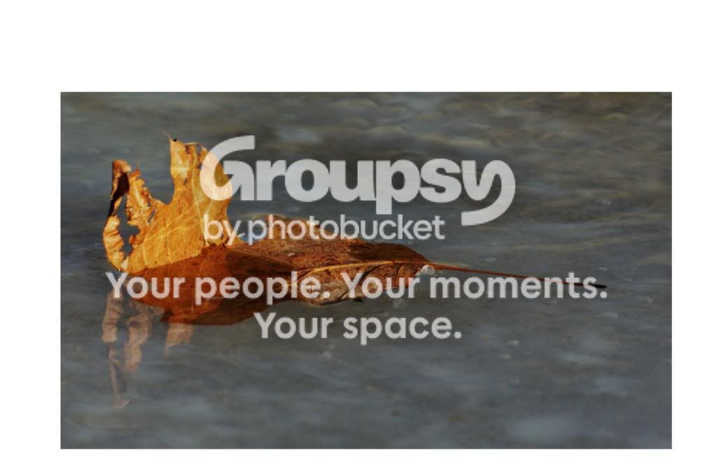 Copyof1-31-09007.jpg