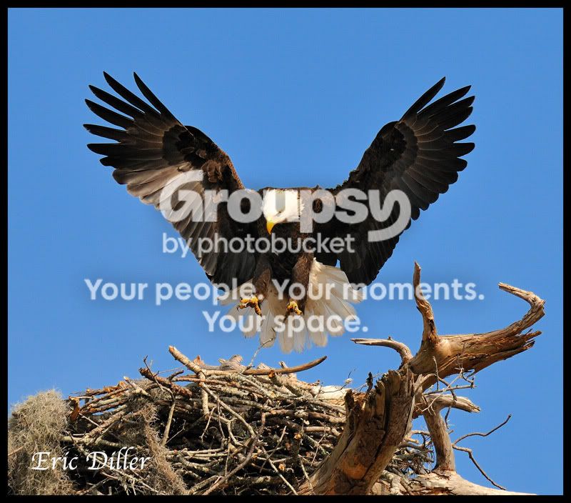 PIC_9805copy.jpg