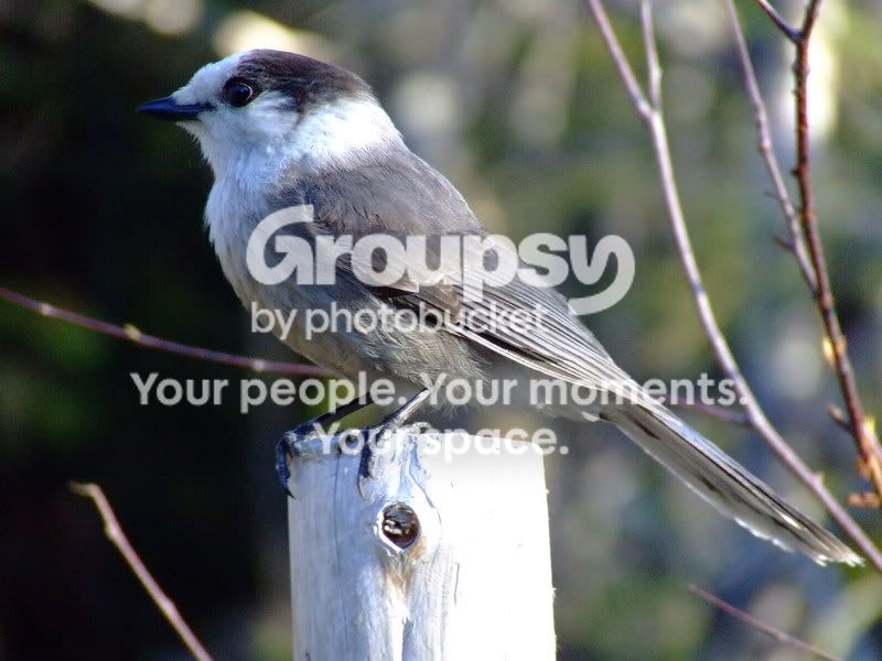 DSCF7032.jpg