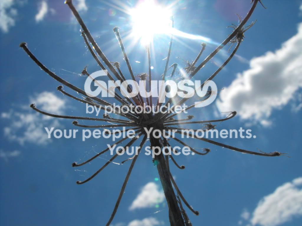 june12200945791.jpg