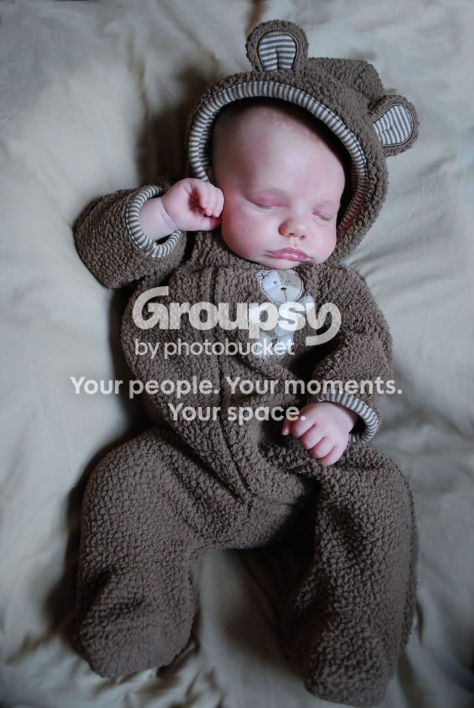 BabyBear105.jpg