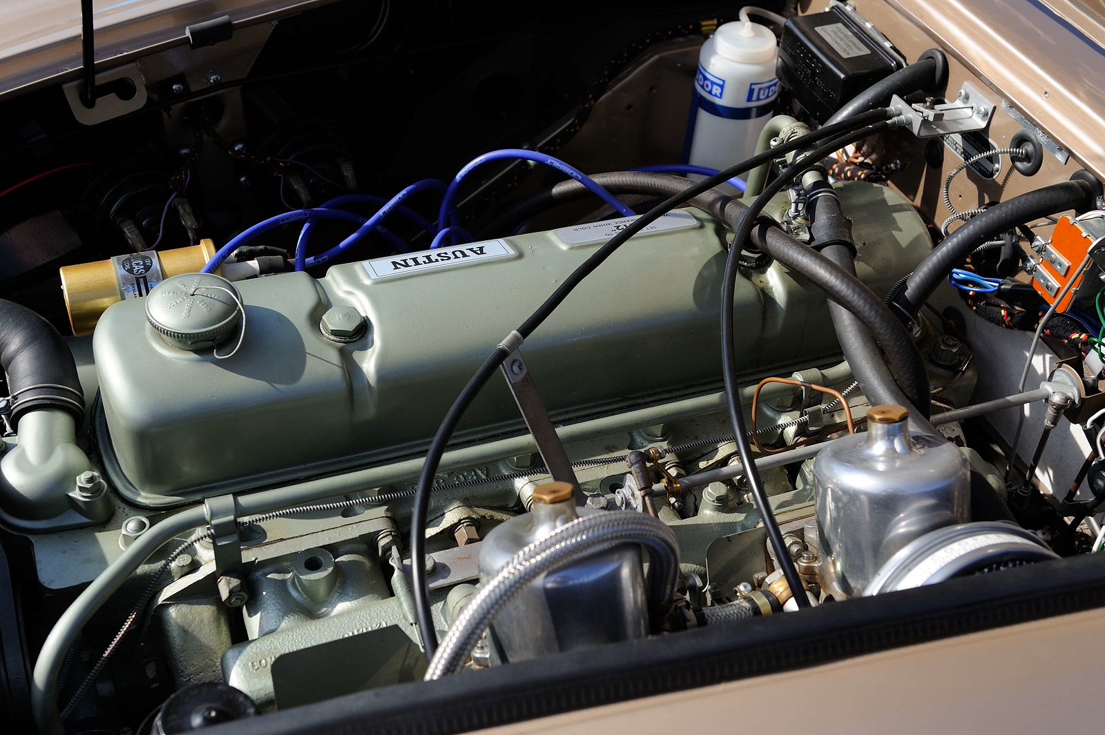DSC_00183-X3.jpg