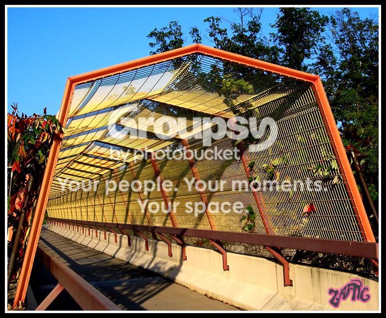 coveredbridge.jpg