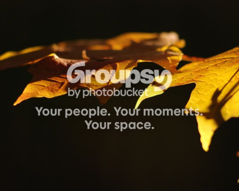 Fall.jpg