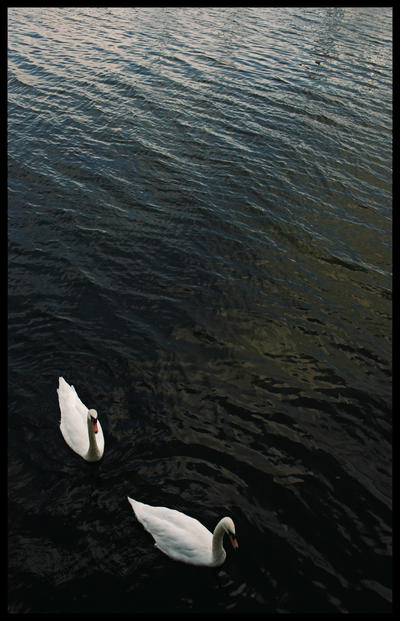 Serene_by_mdcrisp2000.jpg