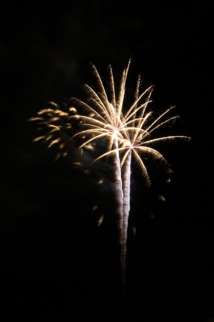 fireworks7.jpg