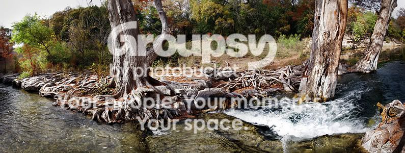treesstitchedlong-sm.jpg