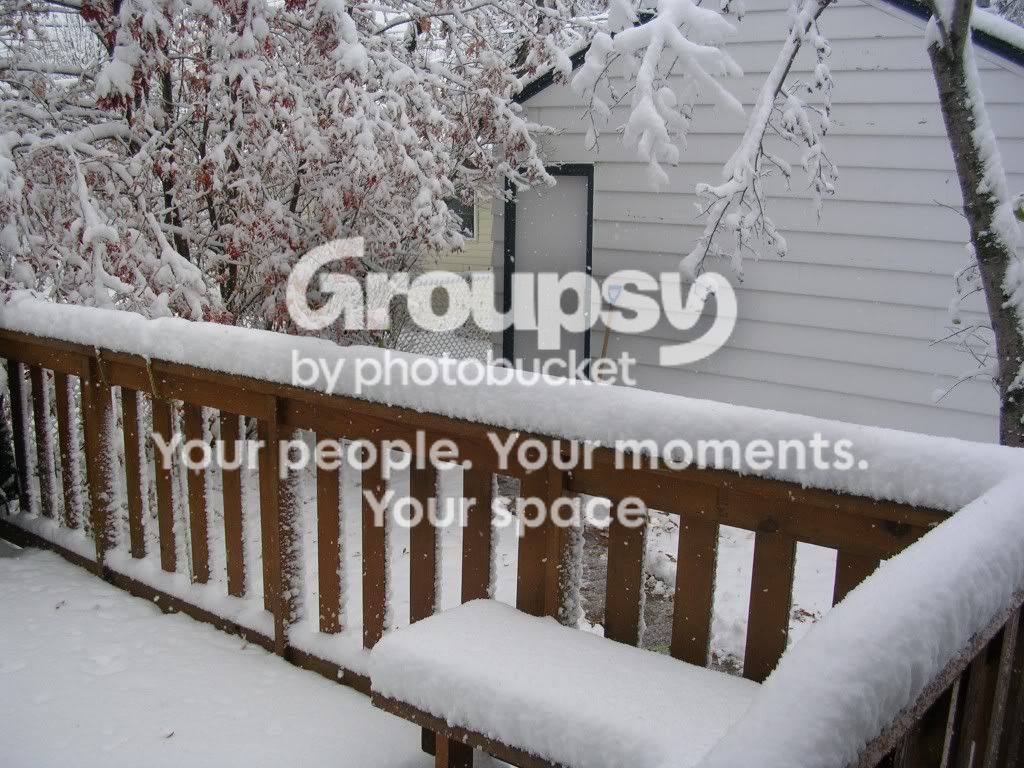 DSCN1338.jpg