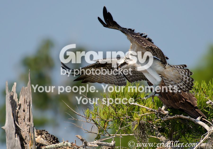 _ECD7558-copy900.jpg