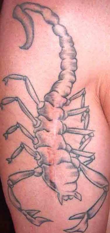 scorp.jpg