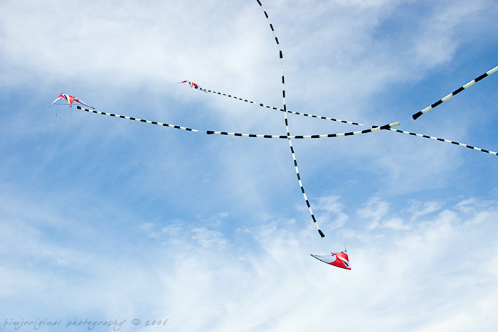 newport_kites060904_09.jpg