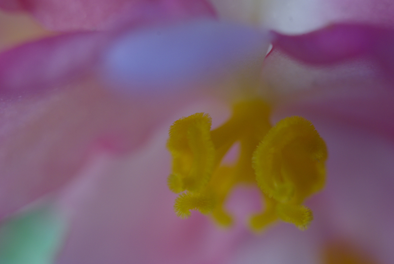 3256984299_a4b4713944_o.jpg