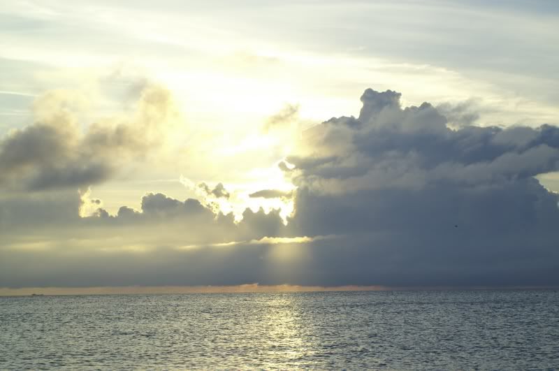 PICT2501.jpg