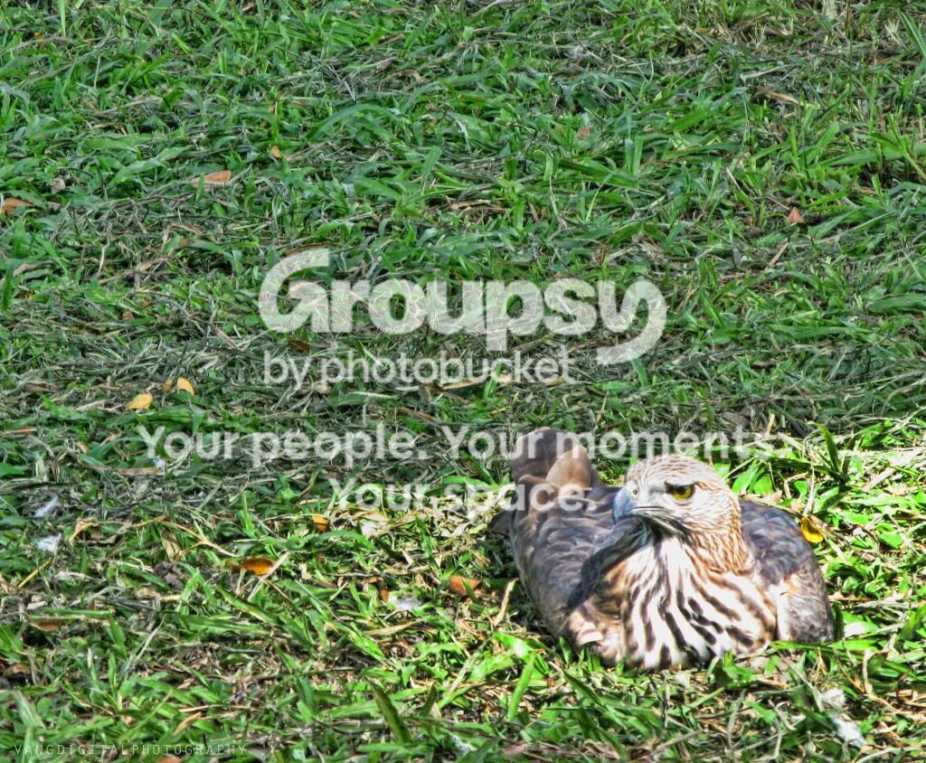 IMG_2735_zps12def5a0.jpg