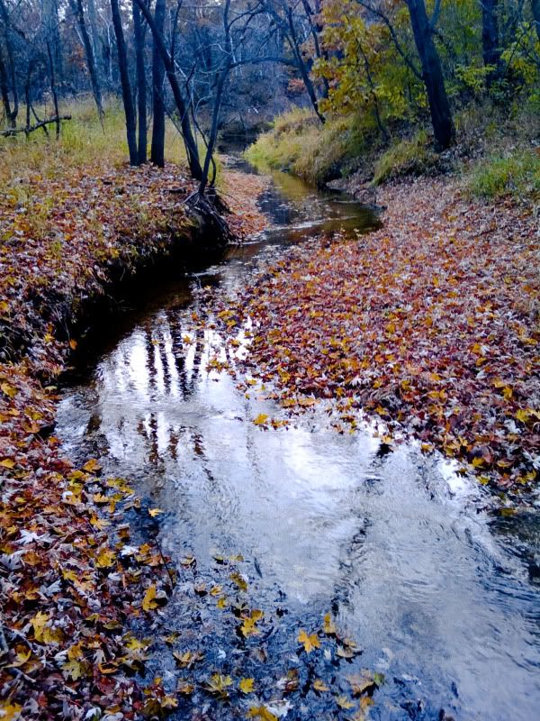 2009-10-24173138.jpg