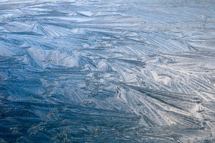 frost080106_04.jpg
