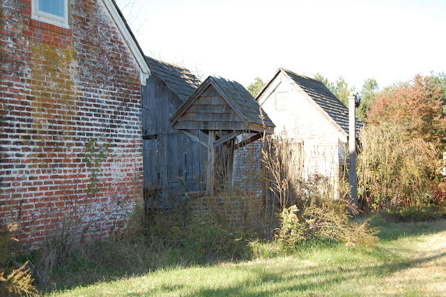DSC_0214.JPG