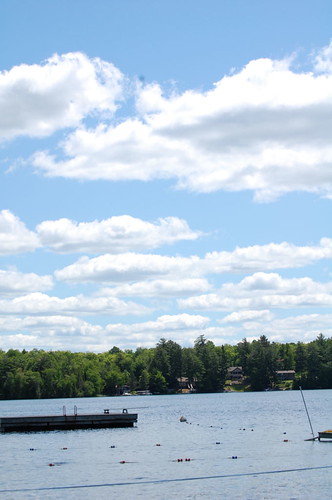 2641751095_b6e43bc243.jpg