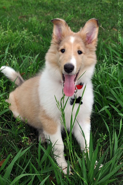7285198266_d7b8792356_z.jpg