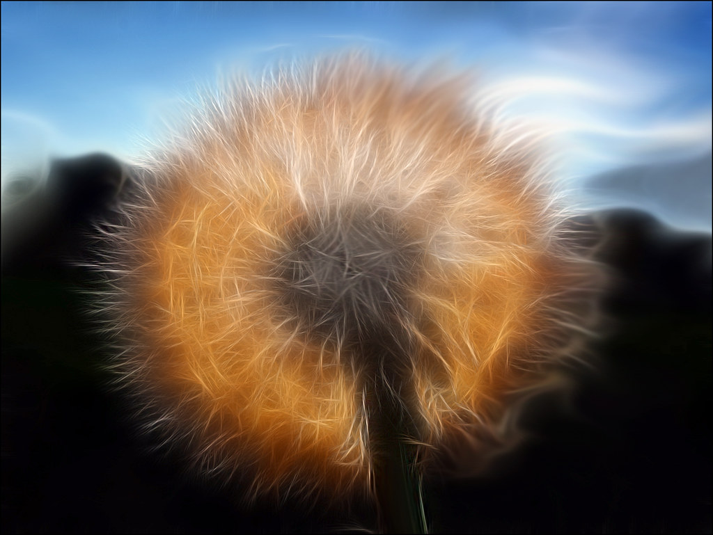 6883049943_98d97d3214_b.jpg