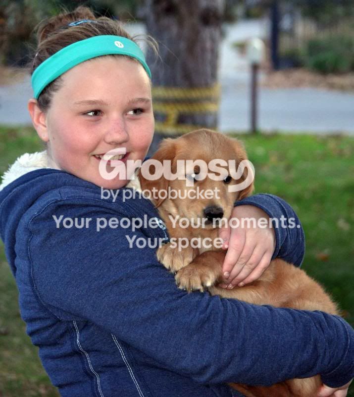 puppy.jpg