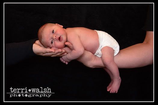 IMG_9289n.jpg