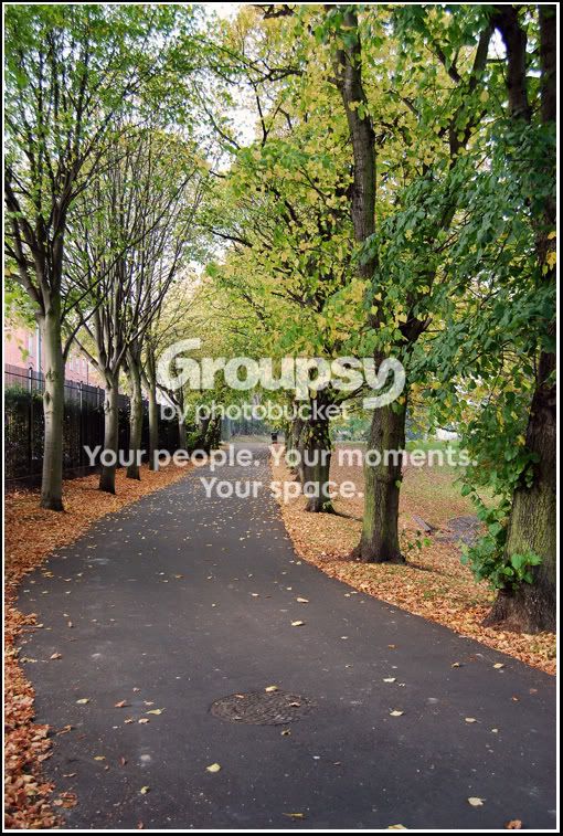 Autumnpathway.jpg