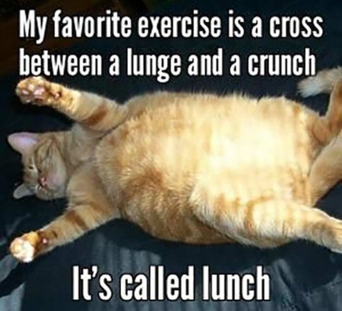 my_favorite_exercise2996.jpg