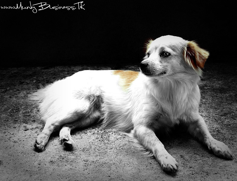 moty-bw.jpg