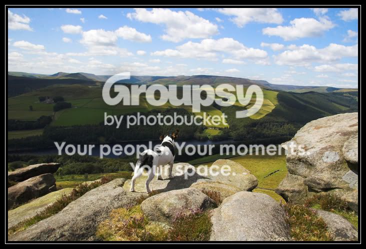 gusoverlookingvalley.jpg