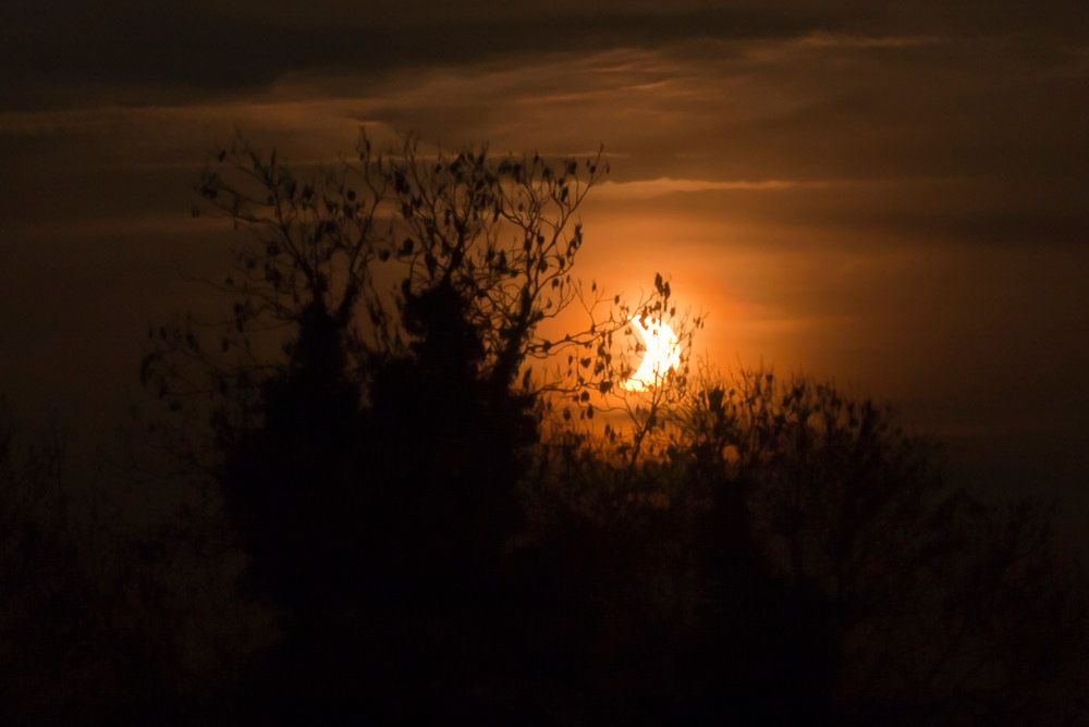 eclypse-1.jpg