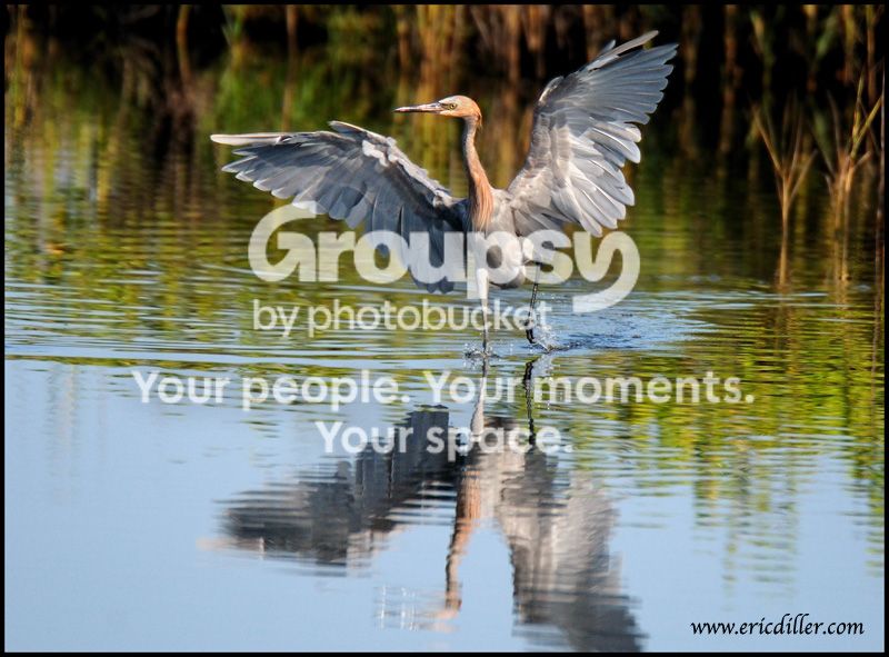 PIC_8859copy.jpg